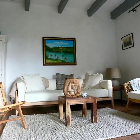 Idyllisches Steinhaus In Traumhafter Lage - Casa El Abejaruco Holiday home Vejer de la Frontera